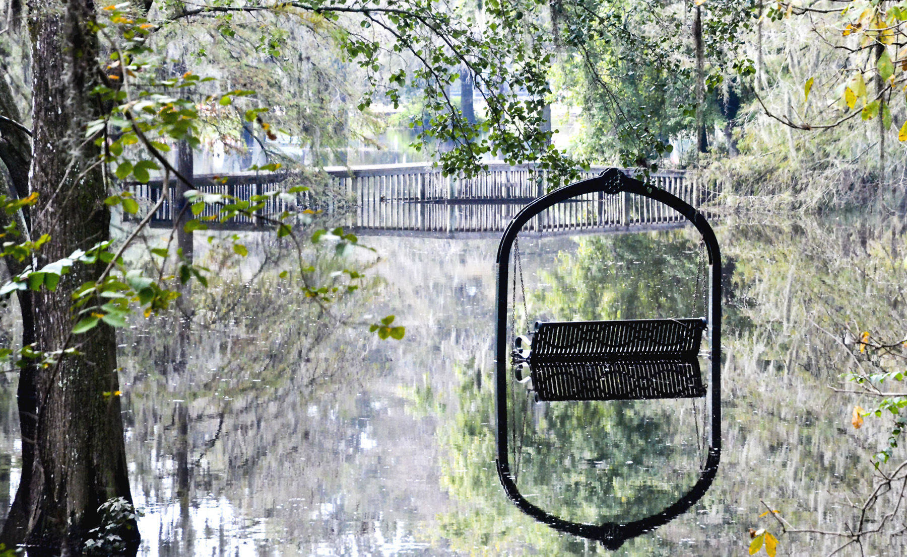 Edisto Gardens flooding